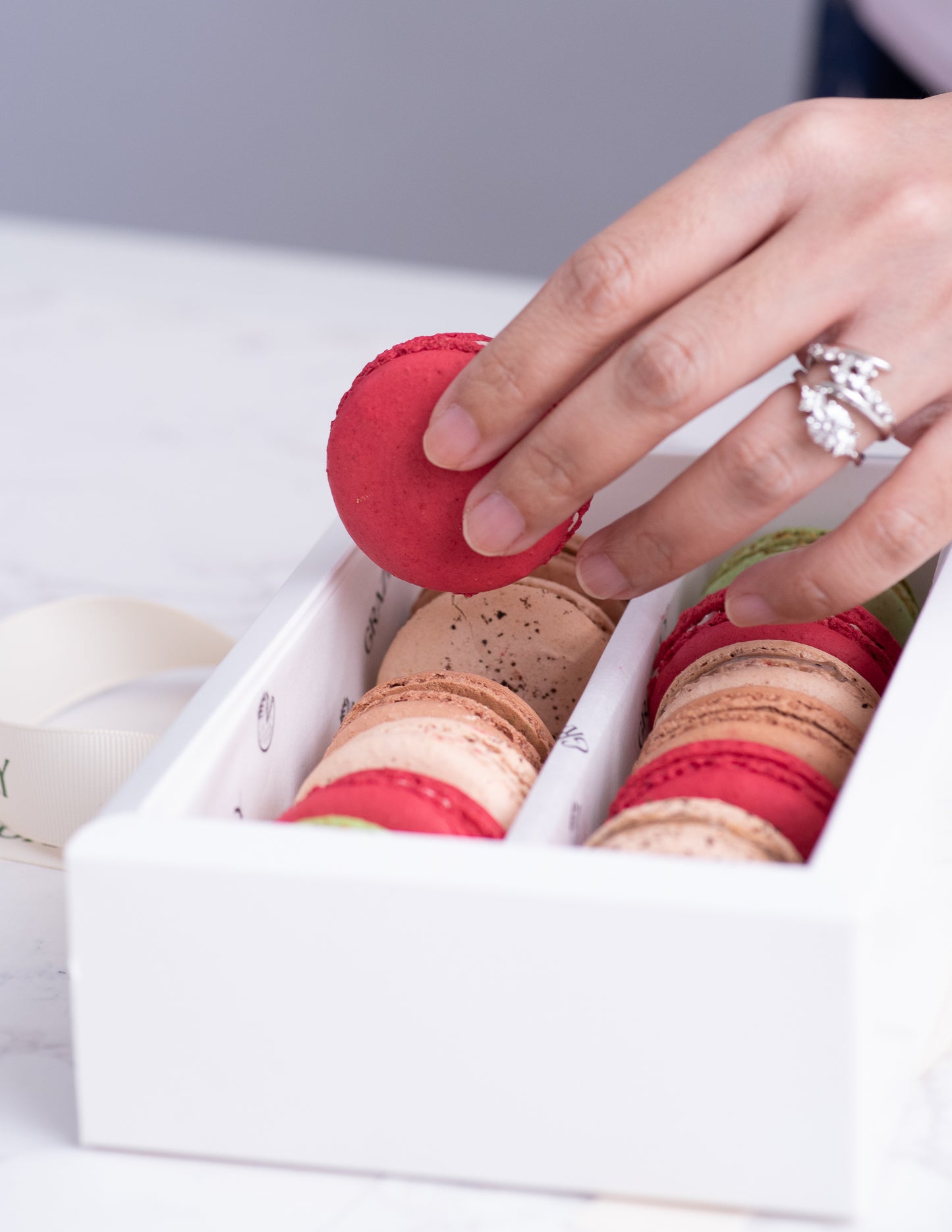 Festive French Macarons